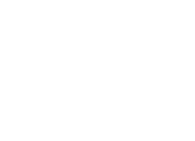 DyeMansion